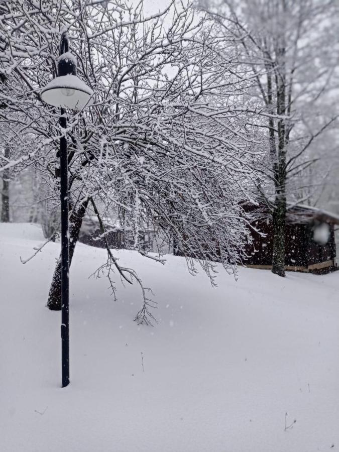 Chalet Fragolina Capanne di Sillano Esterno foto